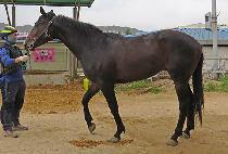 ����Ʈ���� (BEST MARU) ����