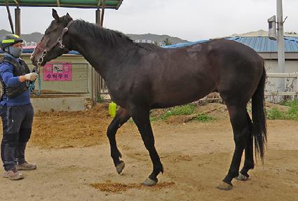 ����Ʈ���� ����