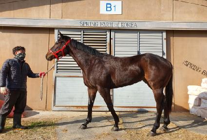 �����ø��� ����