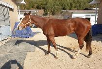 CRUZ DEL SUR picture