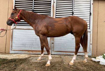 ���̽��ַθ� ����