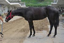 õ�������� (CHEONMA TODAY) ����