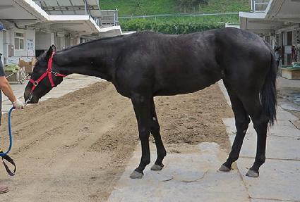 õ�������� ����