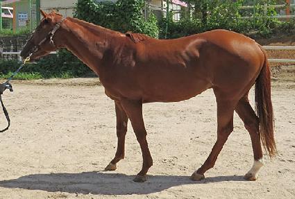 õ�� ����