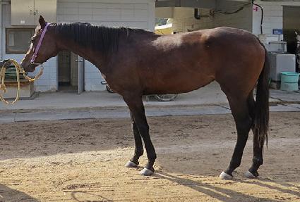 ������Ĺ ����