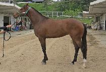 �����̳� (SAENAE MINYEO) ����