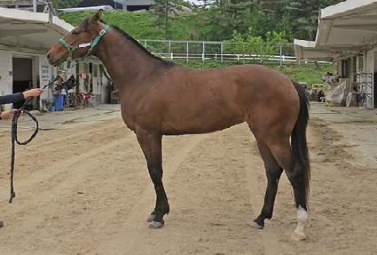 �����̳� ����