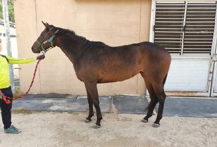 �����ö�� ����