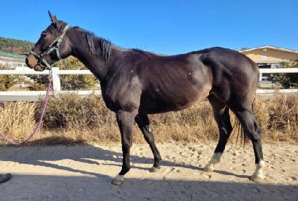 ���ϵ�Ƶ� ����