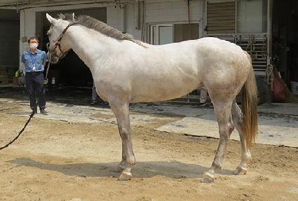 ������ ����