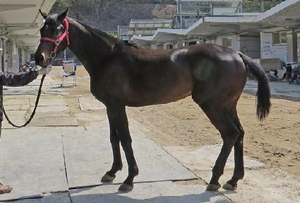 �ü����� ����