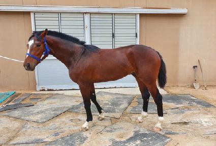 ���ͳ����� ����