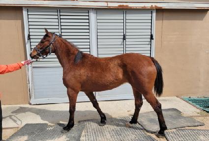 ���� ����