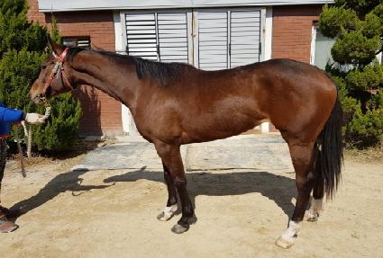 �ְ��ε帲 ����