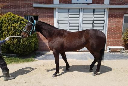 ����Ʈ���� ����