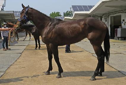 �߽� ����