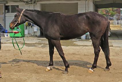 ����ε� ����