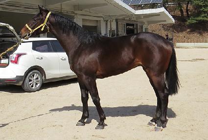 ���ݿ��⿡ ����