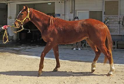 ����Ÿ�� ����