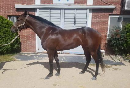 û��Ȳ�� ����