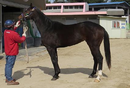 ���ߺλ� ����