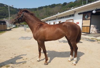 ���׵����� ����