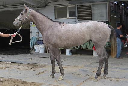 ��ĵ���� ����