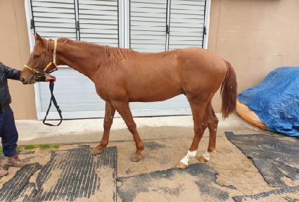 �����丣 ����