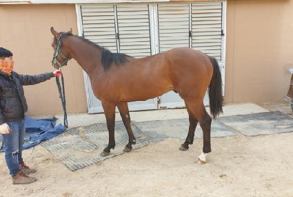 ����Ÿ��ź ����