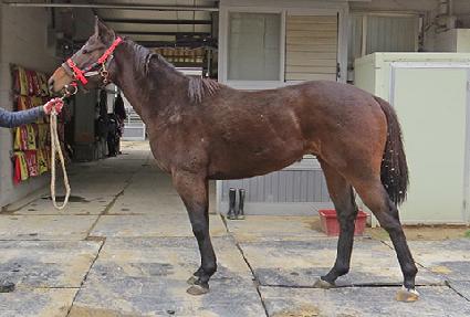 ����ũž ����