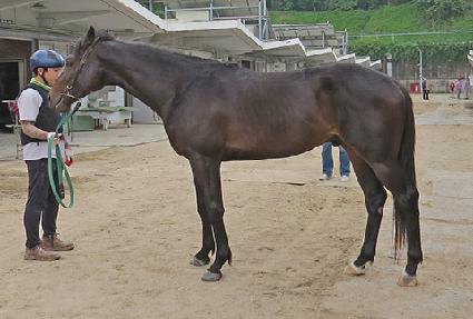 �帲�ε� ����