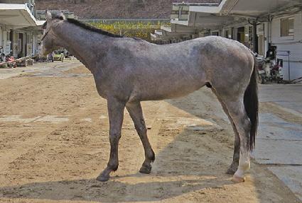 ��ũ���� ����