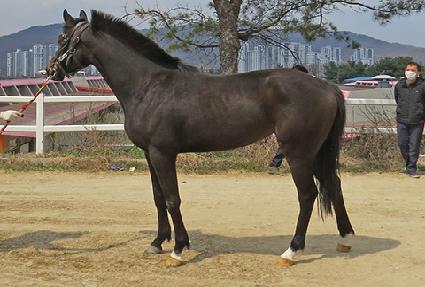 ���ζ�ε� ����