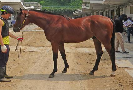 ���������� ����