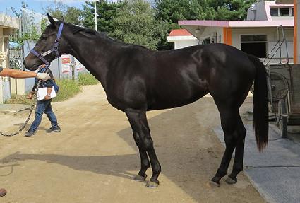 ���������ĵ� ����