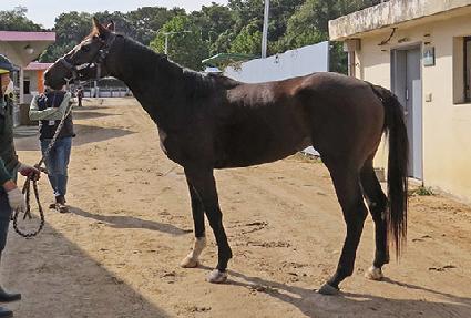 �ҽ����� ����