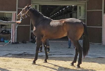 ����Ǯ���� ����