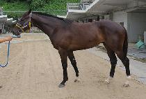 �ýù��� (SISSY MUSIC) ����