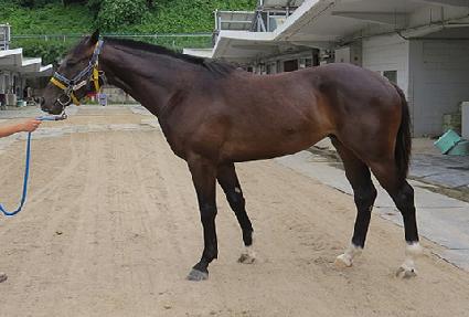 �ýù��� ����