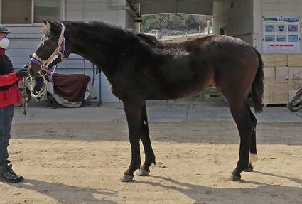 ������ ����