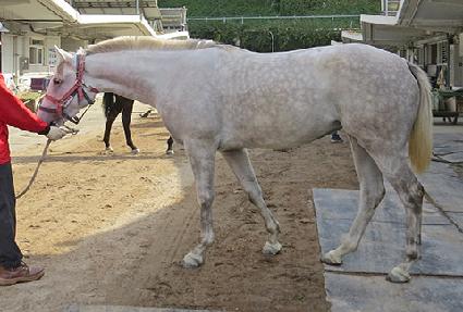 ȭ��Ʈ����ƾ ����