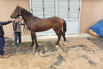 ������Ʈ���� ����