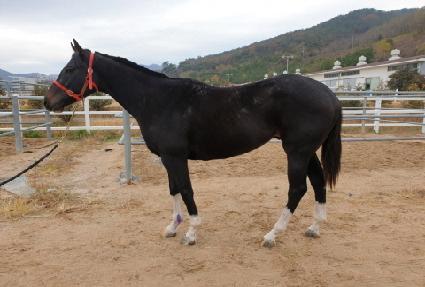 Ƽ�Ÿ ����