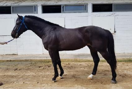 ���ø�ƮŸ�� ����