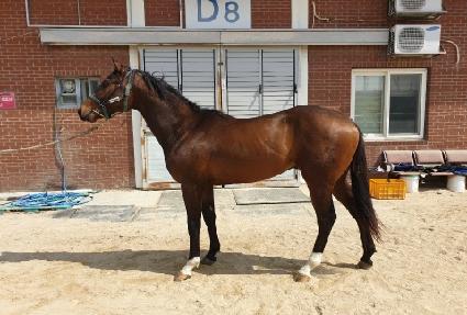 ĳġ�����丮 ����