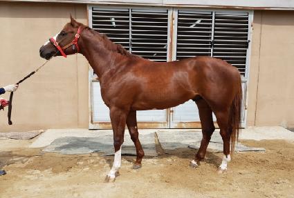 �õ�õ�� ����