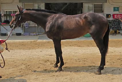 ������� ����