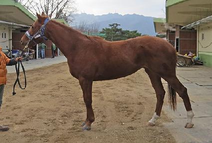 ����Ʈ�ֽ��� ����