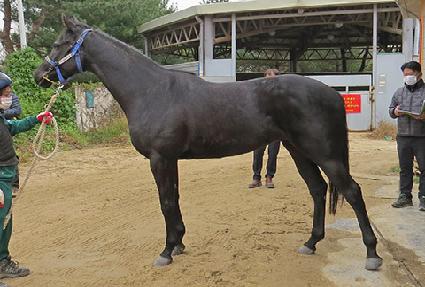 ����Ʈ�뺸 ����