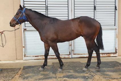 ������� ����